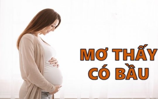 mo-thay-co-bau